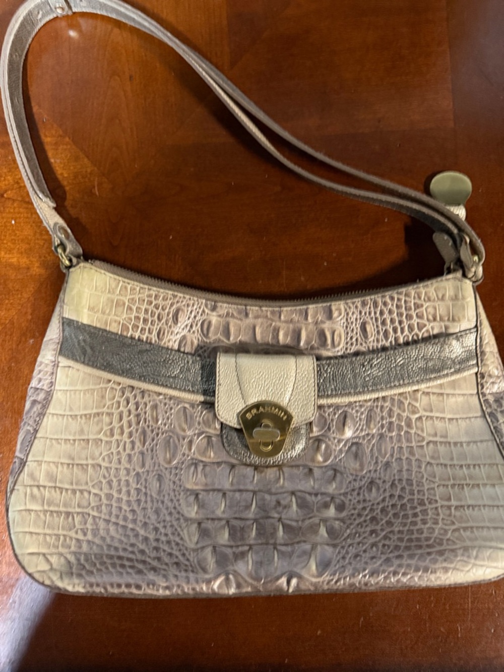 Brahmin bag